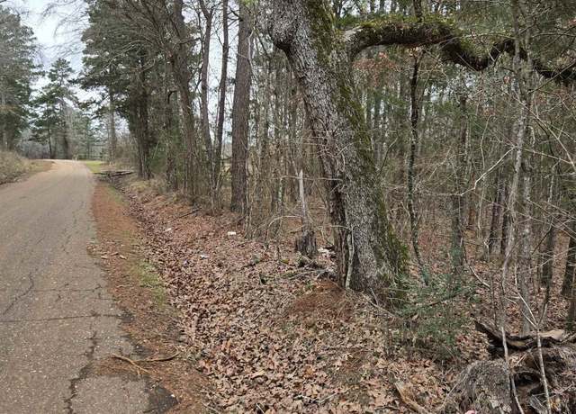 Property at 0000 CR 3206 (23.91ac), Laneville, TX 75667