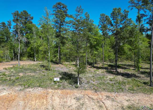 Property at Lot 49 Marble Way, Hallsville, TX 75650