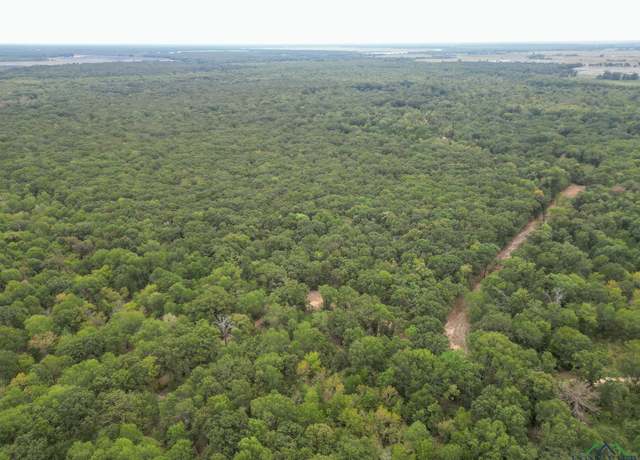 Property at TBD Cr 3353, Omaha, TX 75571