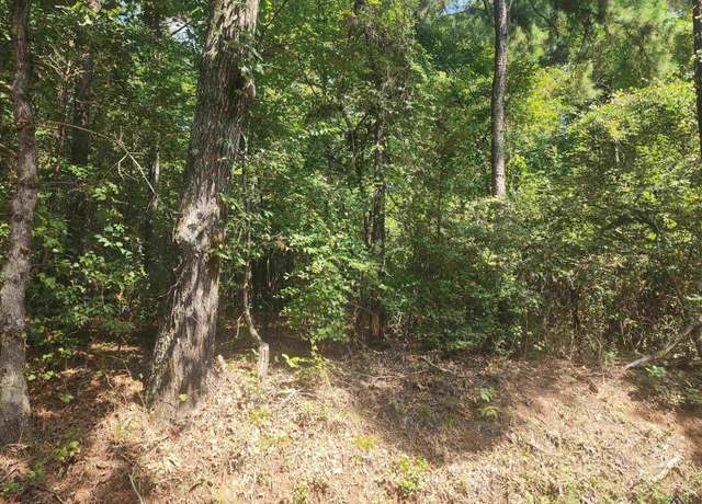 Property at TBD Cr 294 E, Kilgore, TX 75662