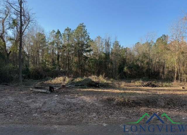 Property at 000 Cr 4172 D, Laneville, TX 75667