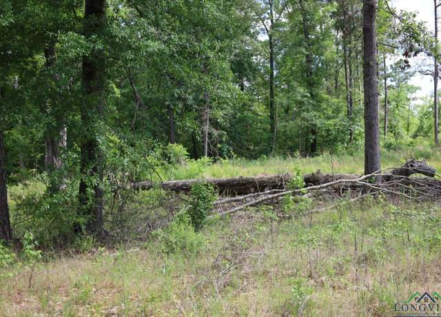 Property at Tbd Forestwood/dogwood, Gilmer, TX 75645