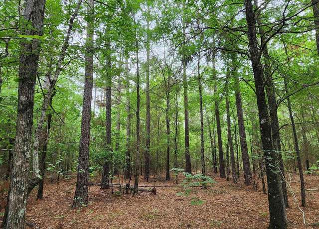 Property at Cr 3230, Clarksville, TX 75426