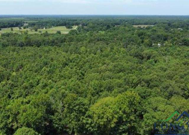 Property at CR 1203 Central Rd, Daingerfield, TX 75638