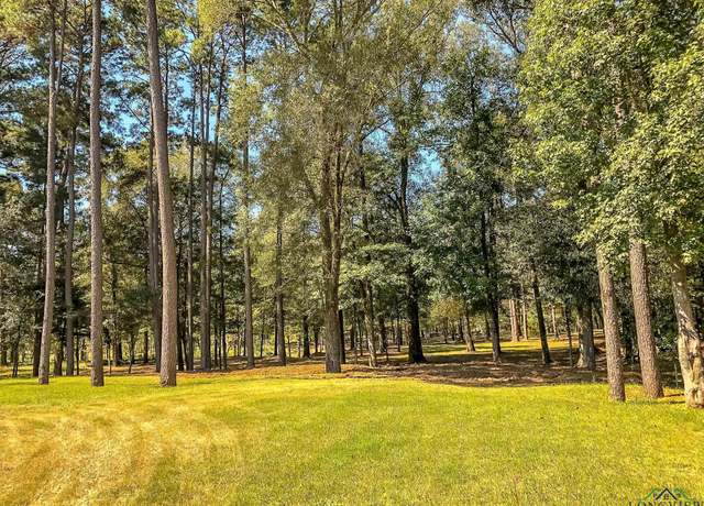 Property at 28 AC Fm 134, Jefferson, TX 75657