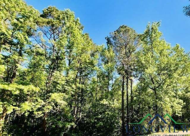 Property at TBD Deerwood Park, Queen City, TX 75572