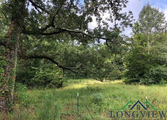 Property at TBD Cr 347, Henderson, TX 75654