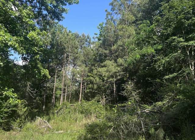 Property at 234 County Road 2124, Shelbyville, TX 75973