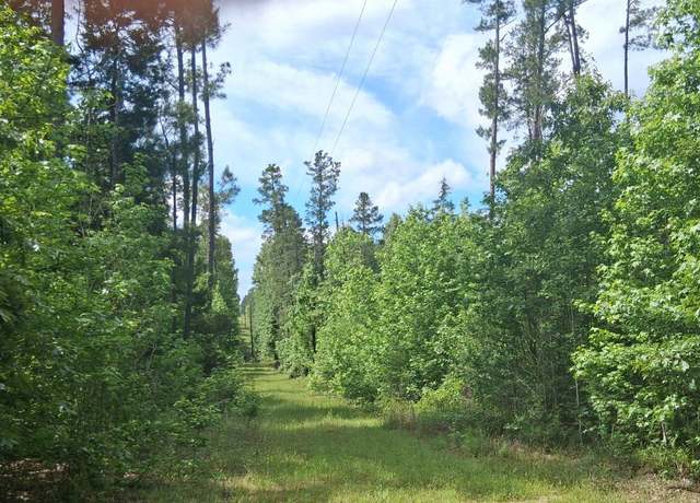 Property at TBD Cass County Road 1581 & 1582, Avinger, TX 75630