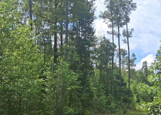 Property at tb Cass County Road 1581 & 1582, Avinger, TX 75630