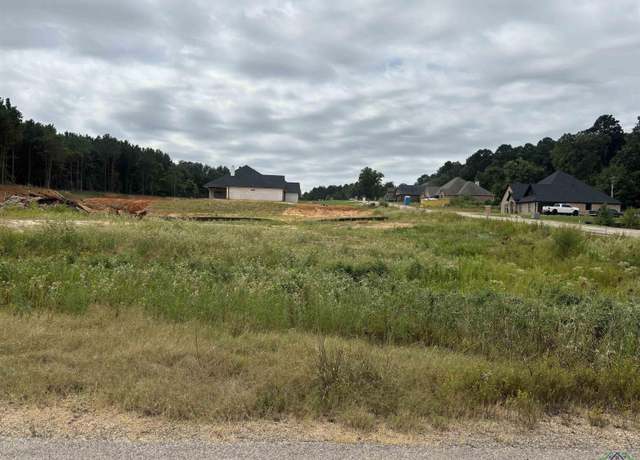 Property at TBD Lot 29 Emma, Diana, TX 75640