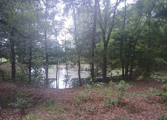 Property at TBD Melvin Smith Rd, Hallsville, TX 75650