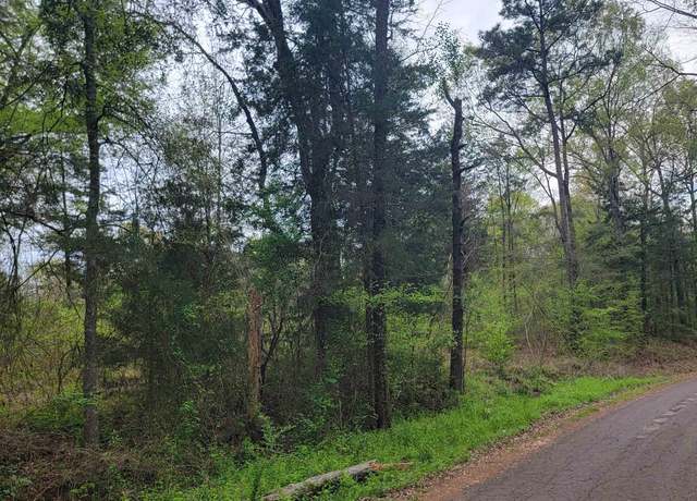 Property at TBD Woodchuck Rd - 18.5 Acres, Leesburg, TX 75451