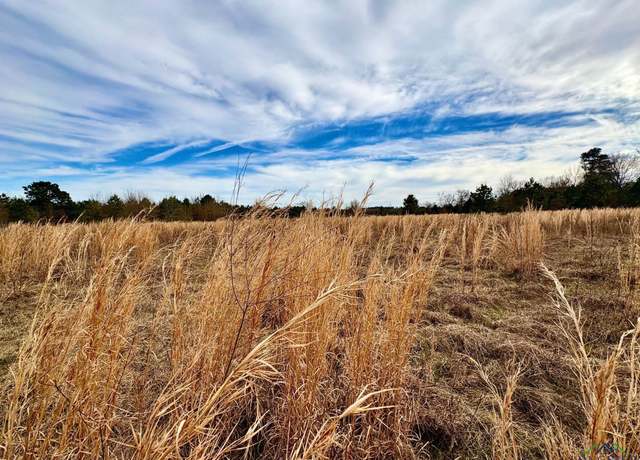 Property at 5771 N Cr 324, Tatum, TX 75691