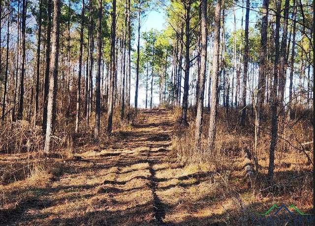 Property at TBD S Cr 451 D, Laneville, TX 75667
