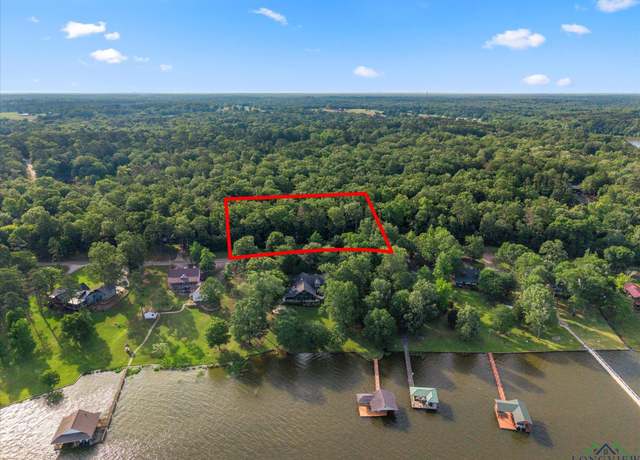 Property at TBD Cr 2430, Pittsburg, TX 75686