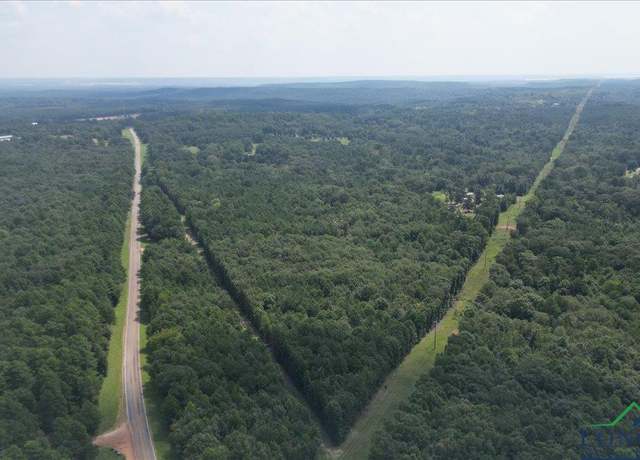 Property at TBD Fm 2796, Pittsburg, TX 75686