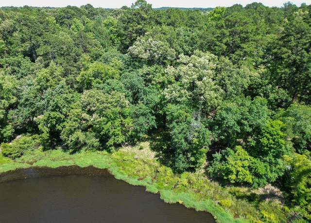 Property at TBD Cr 1596, Avinger, TX 75630