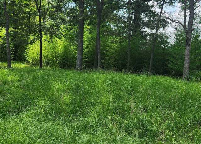 Property at Lots 15-17 Potter Dr, Jefferson, TX 75657