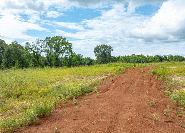 Property at TBD E County Road 376, Henderson, TX 75652