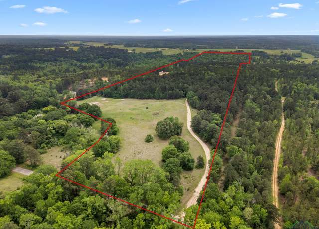 Property at 21478 Cr 294, Arp, TX 75750
