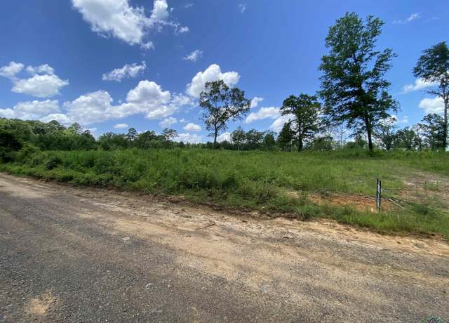 Property at TBD Verbena Rd, Ore City, TX 75683