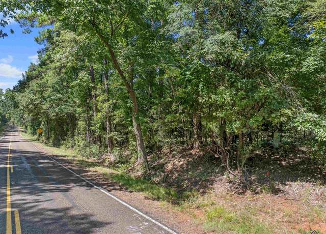 Property at TBD S Fm 225, Laneville, TX 75667