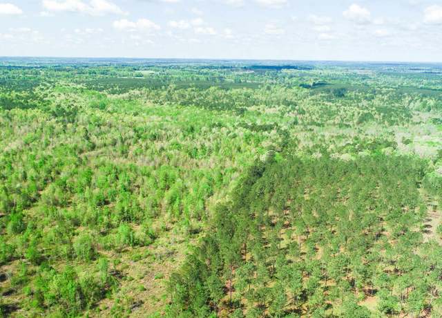 Property at TBD County Road 1891a, Bivins, TX 75555