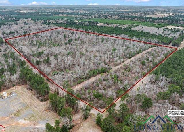 Property at TBD Cr 311, De Berry, TX 75639