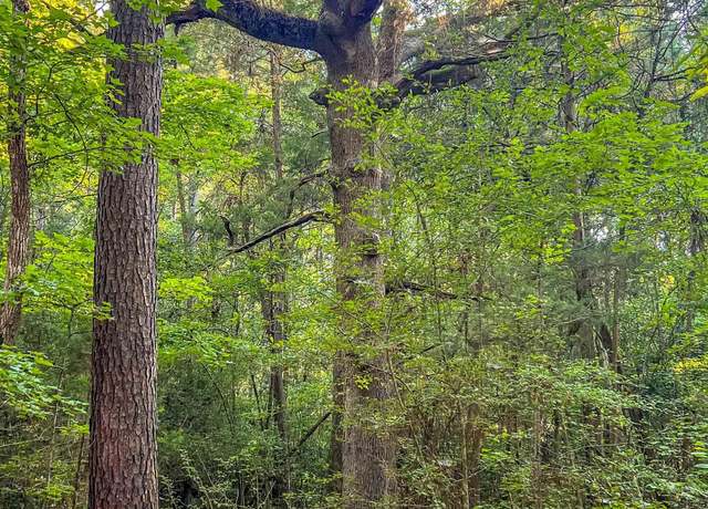 Property at 0002 Cr 1628, Linden, TX 75563
