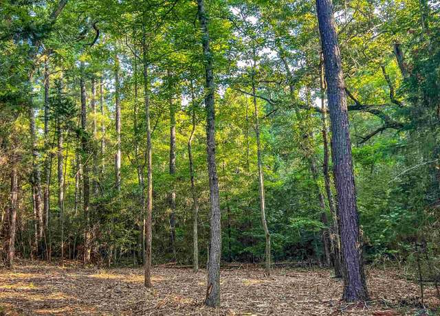Property at 0003 Cr 1628, Linden, TX 75563