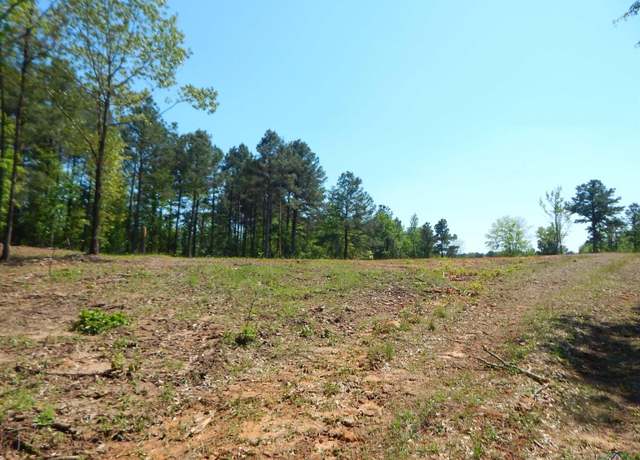 Property at TBD 15 ACRES Fm 1795 Side 1, Big Sandy, TX 75755