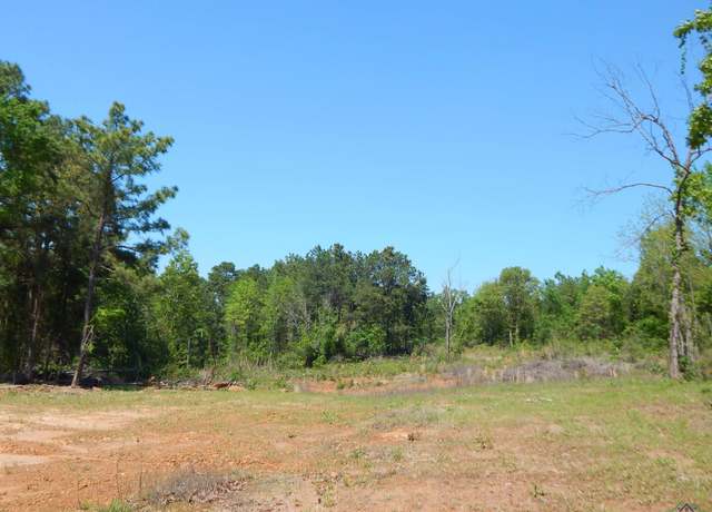 Property at TBD 15 ACRES Fm 1795 Side 2, Big Sandy, TX 75755