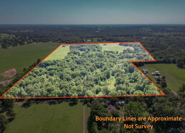 Property at TBD Cr 4460, Winnsboro, TX 75494