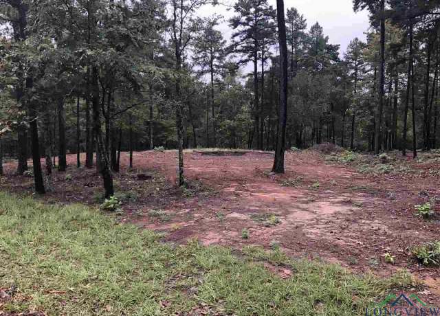 Property at LOT 4 Lake Gladewater Rd, Gladewater, TX 75647
