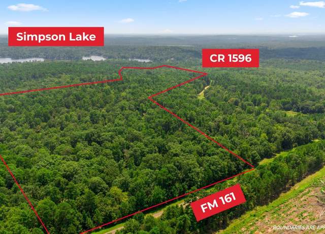 Property at TBD County Road 1596, Avinger, TX 75630