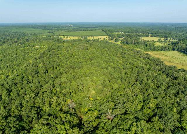 Property at 0000 Cr 1628, Linden, TX 75563