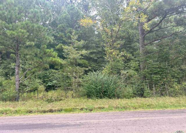Property at TBD Cr 449, Carthage, TX 75633
