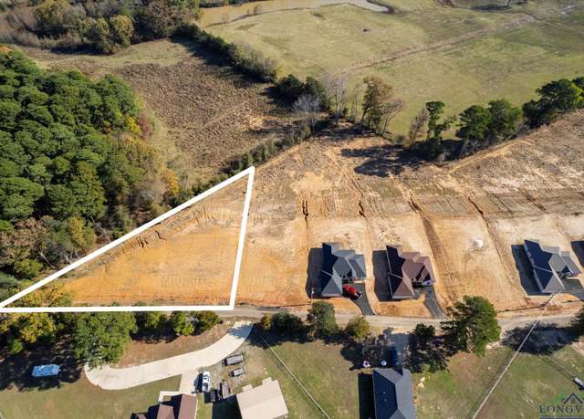 Property at Lot 1 Cr 4323, Pittsburg, TX 75686