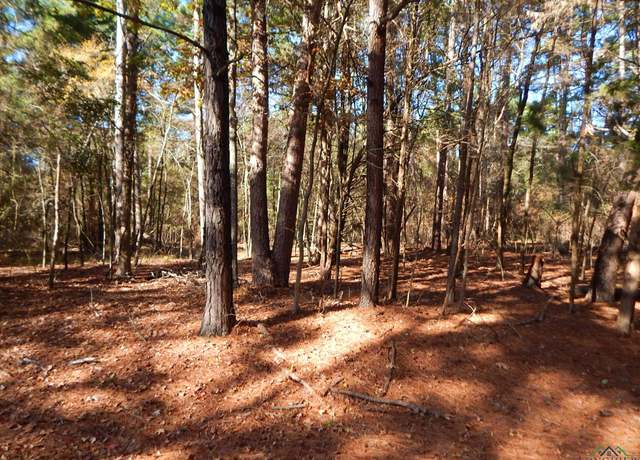 Property at 60 Cypress Creek Dr, Mount Vernon, TX 75457