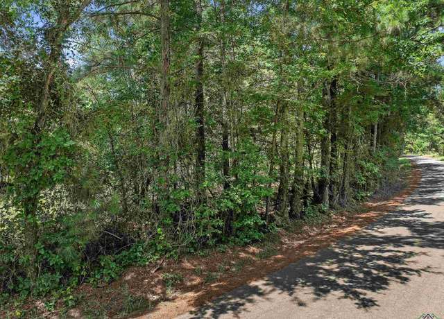 Property at TBD W County Road 1115, Kilgore, TX 75662