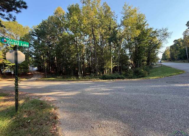 Property at 387 Hillshore Cir, Longview, TX 75605