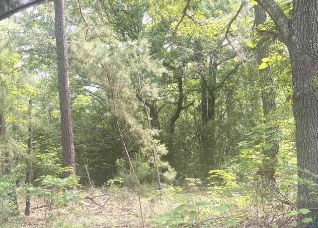 Property at TBD Cr 205, Henderson, TX 75652