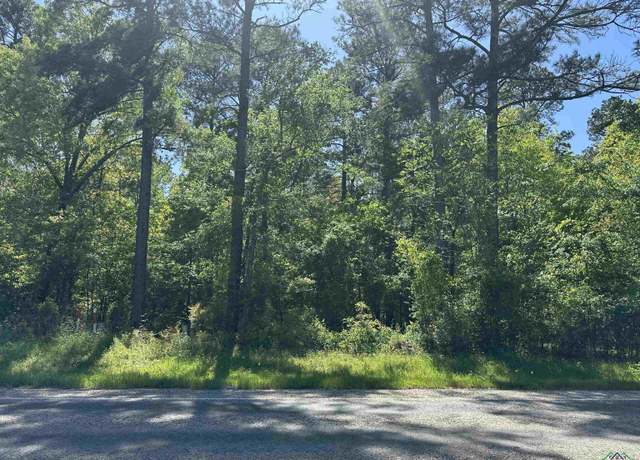 Property at Tbd Fm 31, Marshall, TX 75672