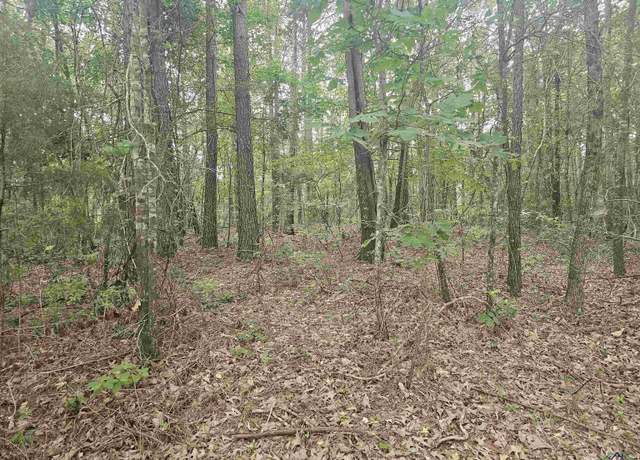 Property at TBD Long John Rd, Marshall, TX 75672