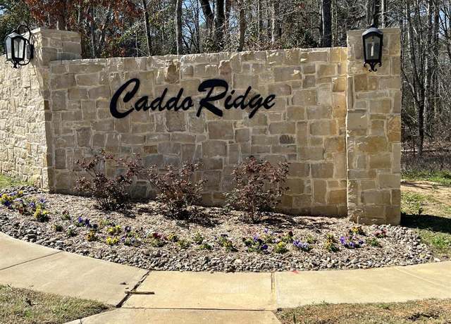 Property at 9295 Caddo Ridge Cv, Tyler, TX 75703