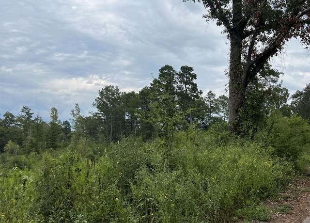 Property at TBD Lassater Rd, Jefferson, TX 75657