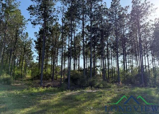 Property at County Road 212, Beckville, TX 75631