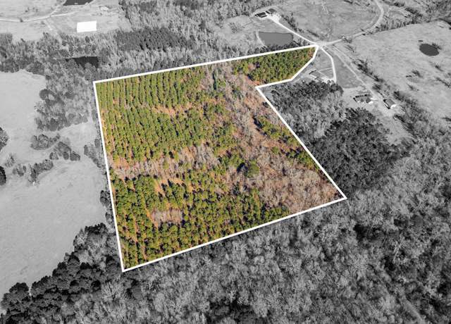 Property at 000 Eagle Court Rd, New Diana, TX 75640