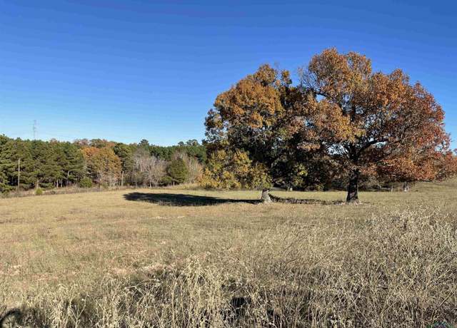 Property at tbd Sam Hall Rd, Hallsville, TX 75650